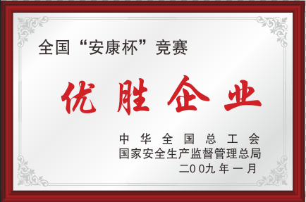 2009ȫI